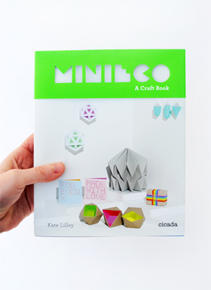 MiniEco: A Craft Book