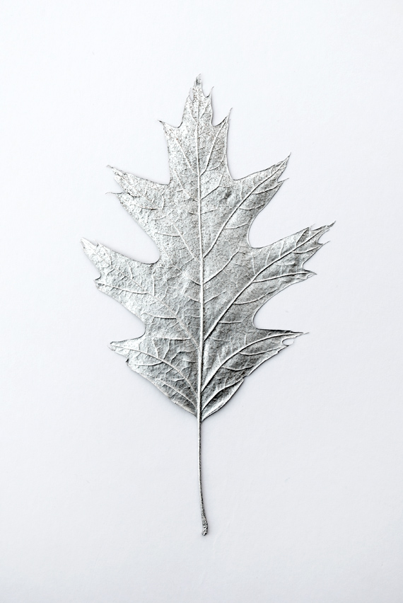 Silver  leaves // Christmas decorations